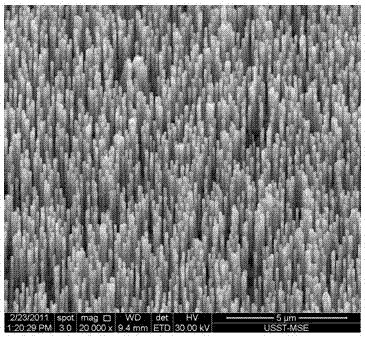 Catalyst for zinc oxide nanowire growth, and application of catalyst