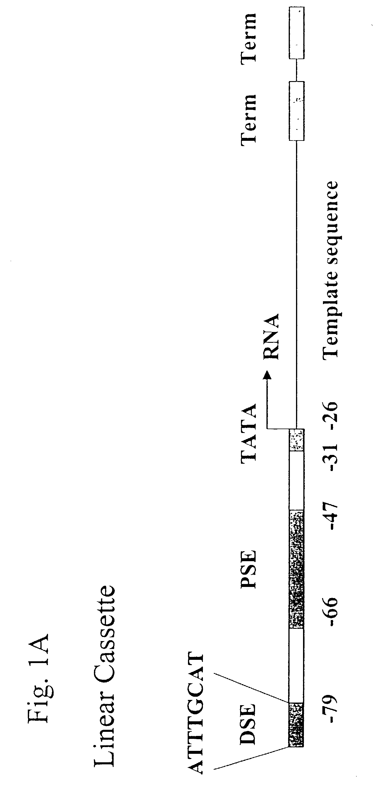 Methods and compositions for DNA mediated gene silencing