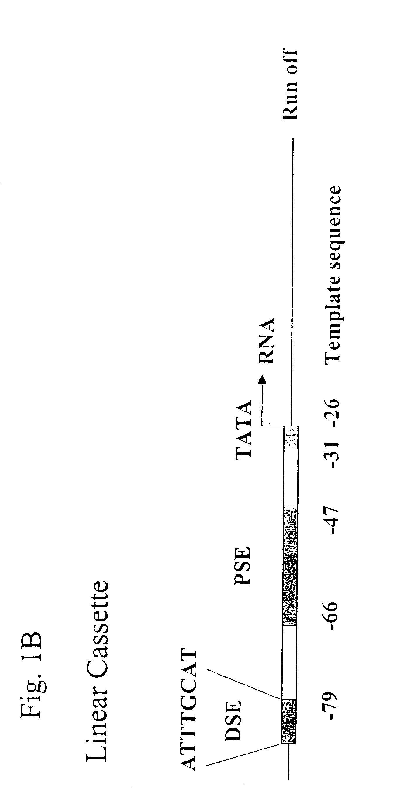 Methods and compositions for DNA mediated gene silencing
