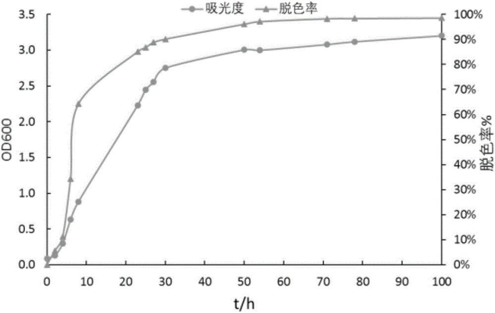 Broadspectrum efficient Klebsiella pneumoniae KL1 for decoloring azo dyes and application of broadspectrum efficient Klebsiella pneumoniae KL1
