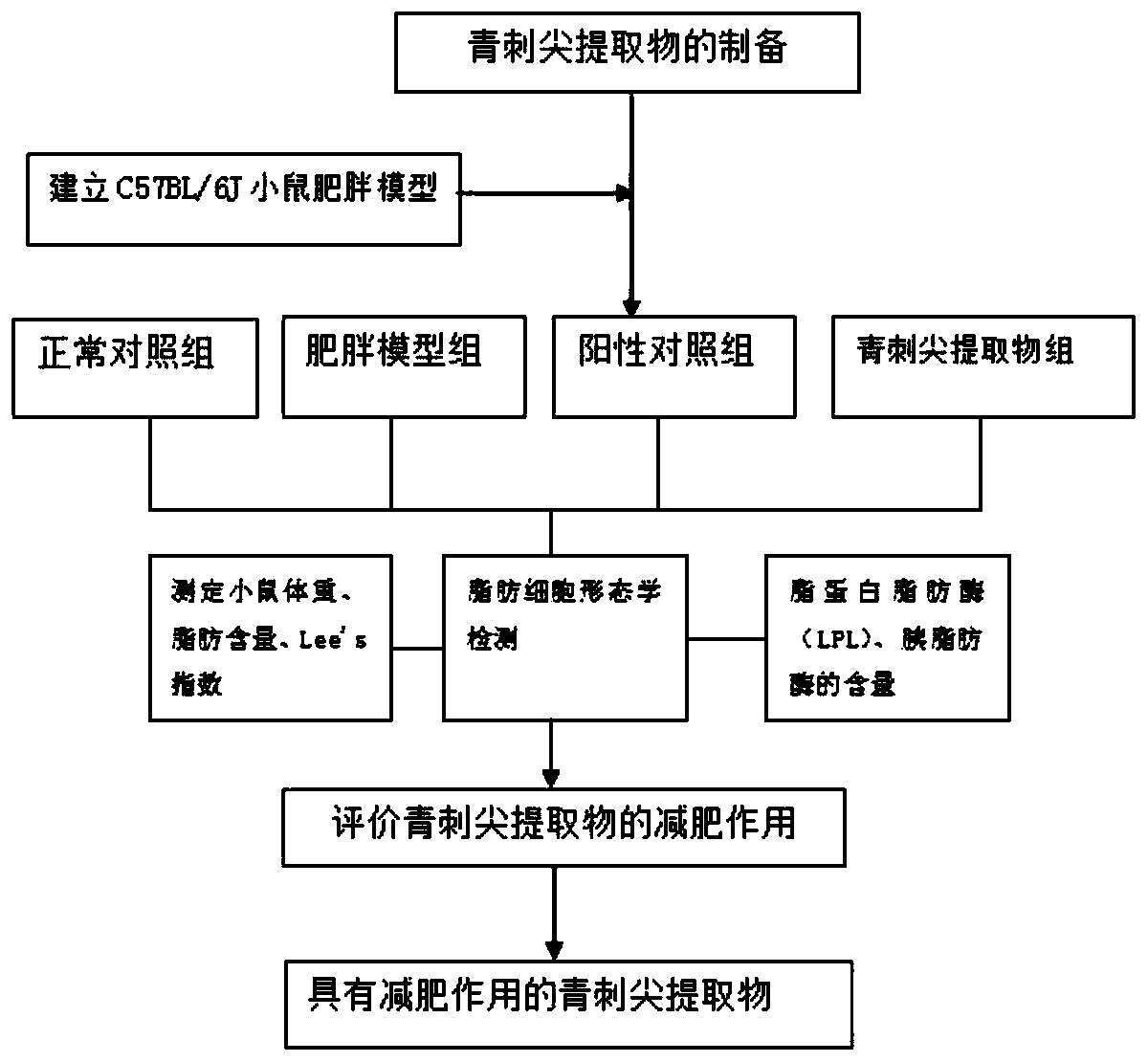 Chinese medicinal material extract with function of reducing weight and preparation method of Chinese medicinal material extract