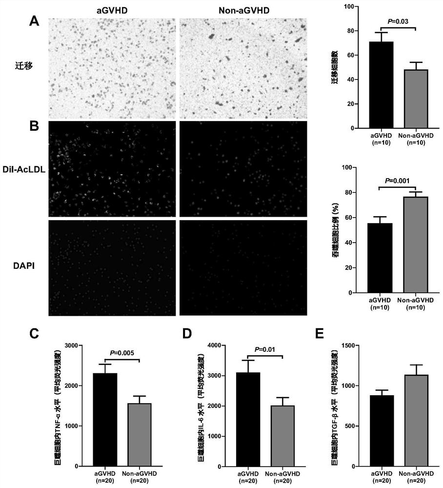 Application of macrophage subsets and their regulators in acute graft-versus-host disease