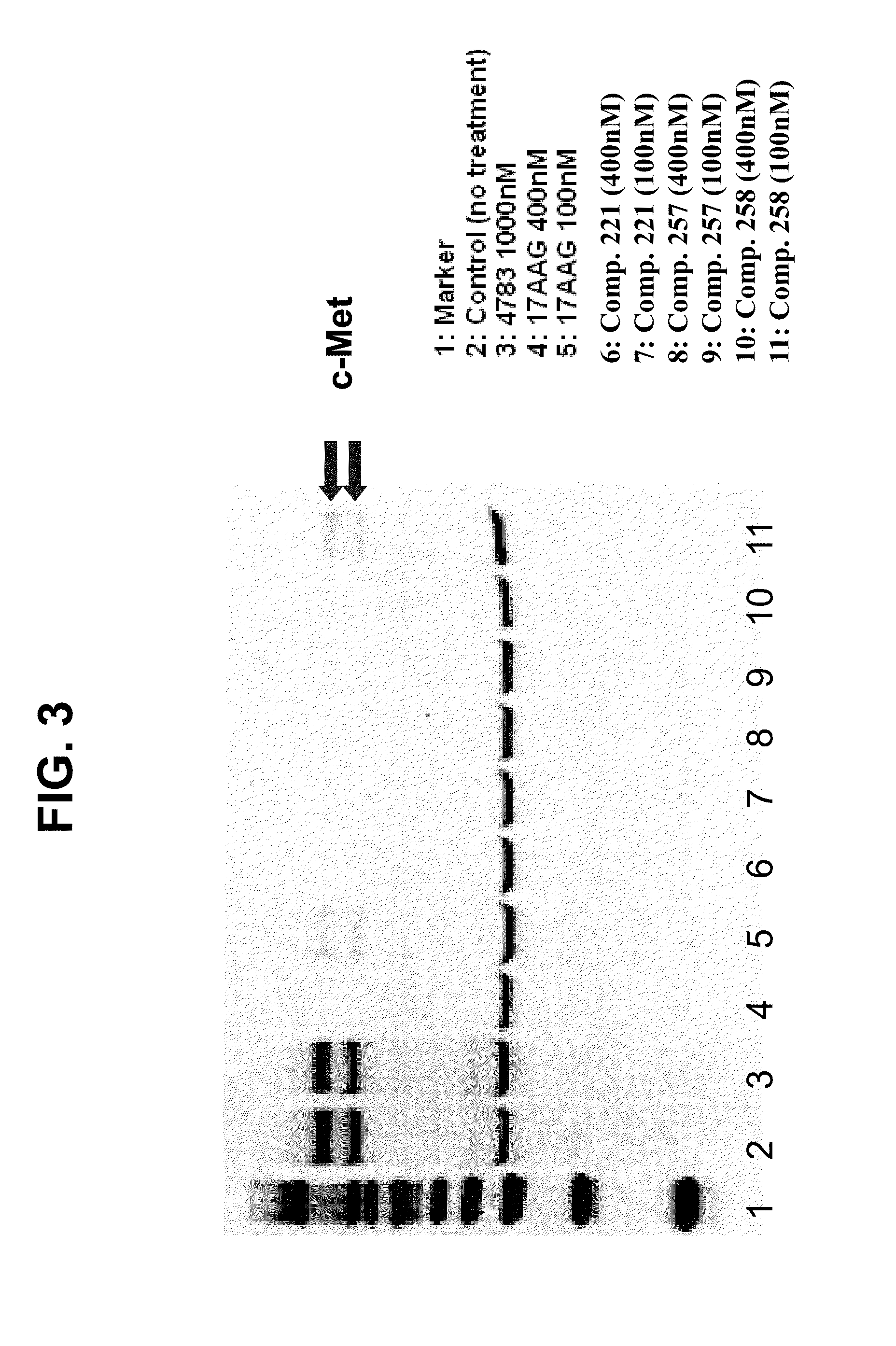 Method for treating proliferative disorders associated with mutations in c-met