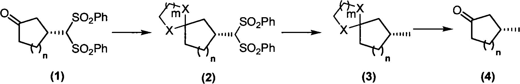 Asymmetric synthesis of chiral muskone and other 3-methyl cyclic ketone