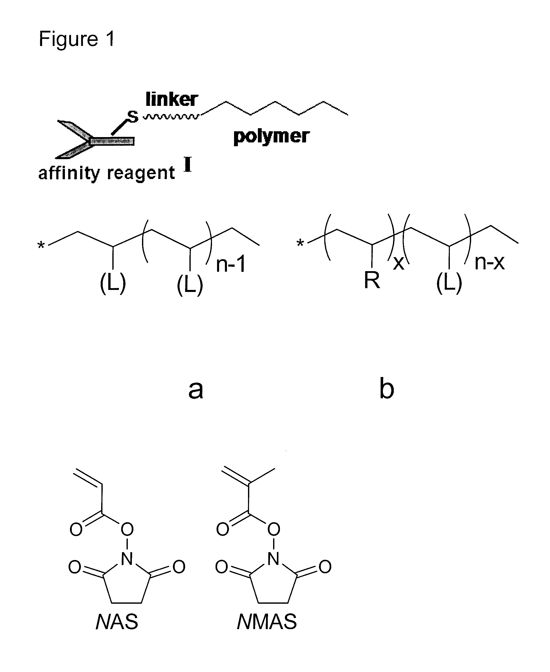 Polymer backbone element tags