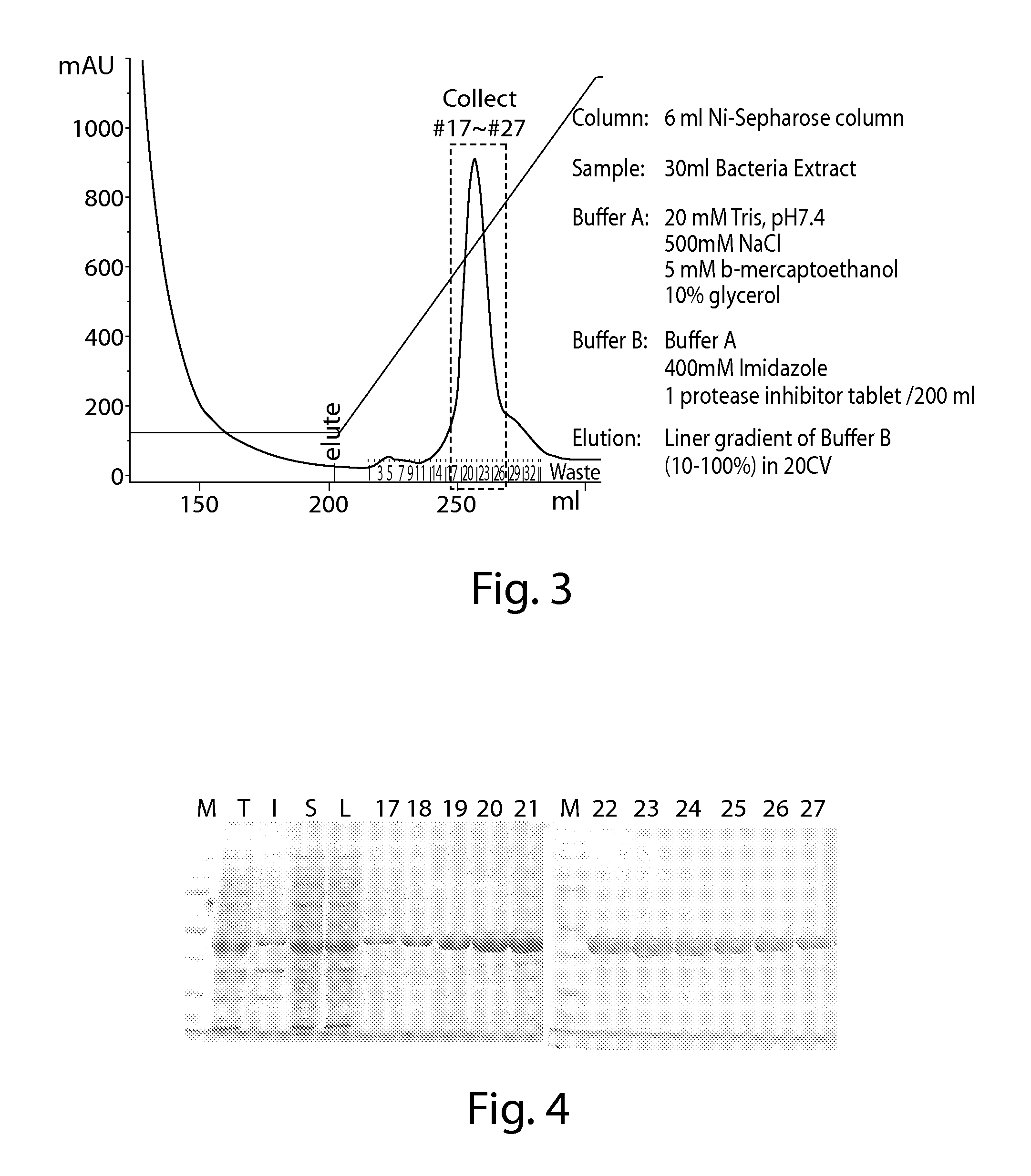 Methods and compositions for cell-proliferation-related disorders