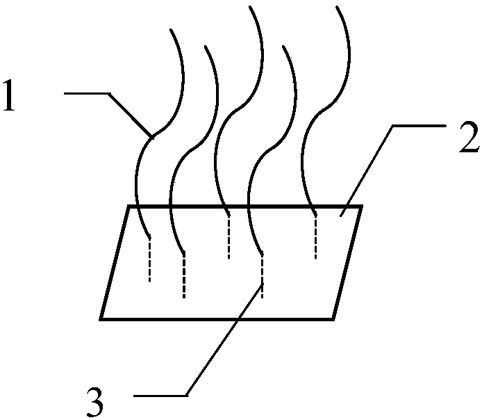 Gene chip for enrichment and extraction of transgenic components and preparation method of gene chip