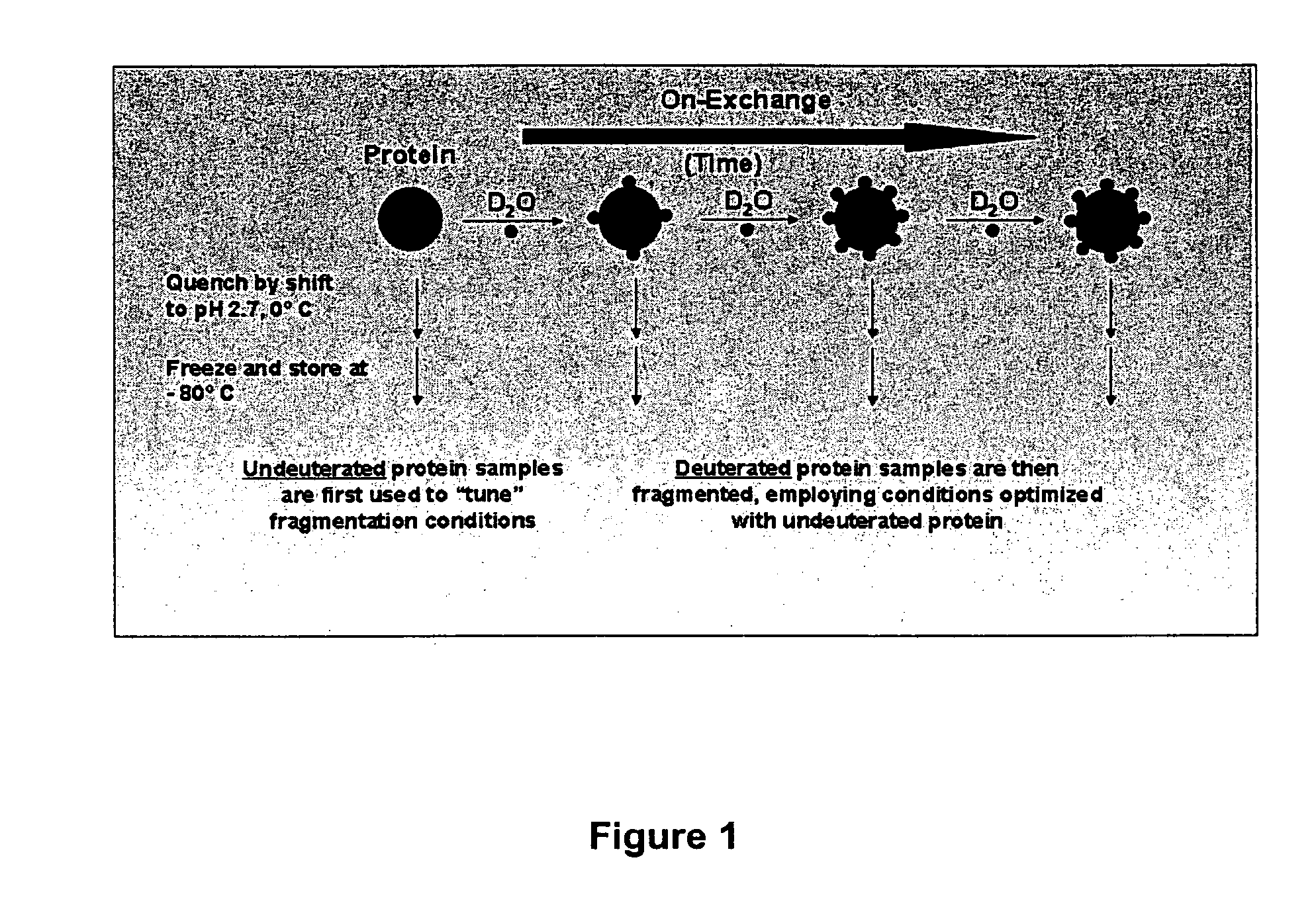 Enhanced methods for crystallographic structure determination employing hydrogen exchange analysis