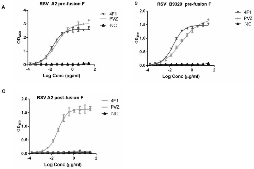 Anti-respiratory syncytial virus fully human broad-spectrum neutralizing antibody 4f1 and its application