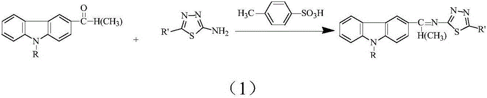 Schiff base containing carbazyl and thiadiazolyl and preparation method thereof