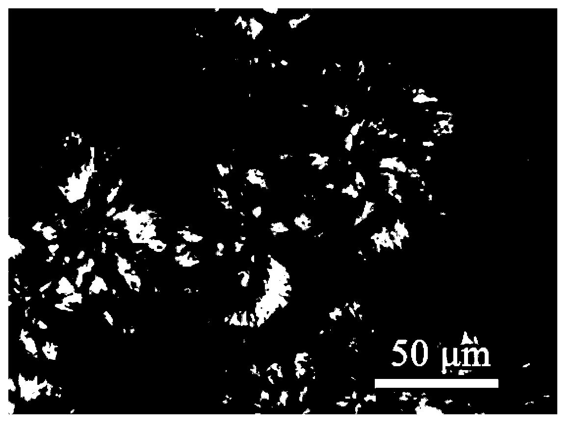 Preparation method of environment-friendly composite polymer film material