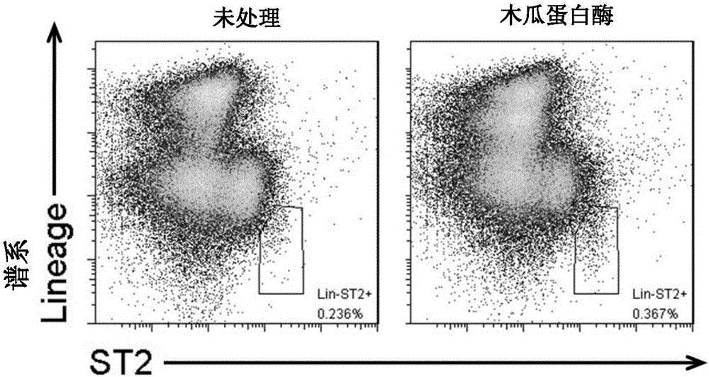 Method of separating and purifying II-type innate lymphoid cells from animal lung tissue