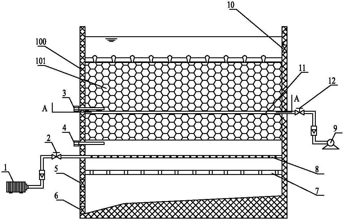 A backwashing device and method for a light-weight filter material biological aerated filter