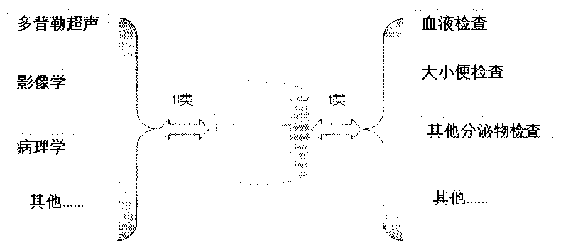 Method for processing clinical auxiliary examination data