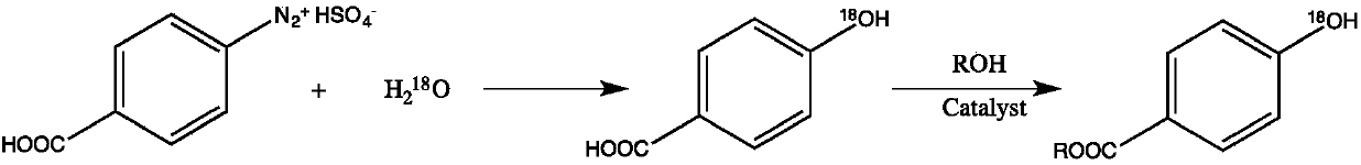 Synthesis method of stable isotope 18O labeled nipagin ester