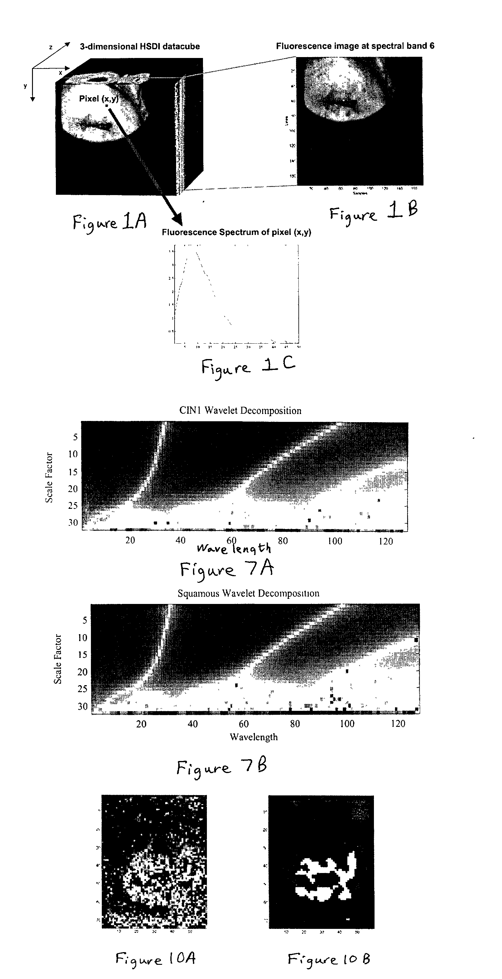 Method and apparatus for generating two-dimensional images of cervical tissue from three-dimensional hyperspectral cubes