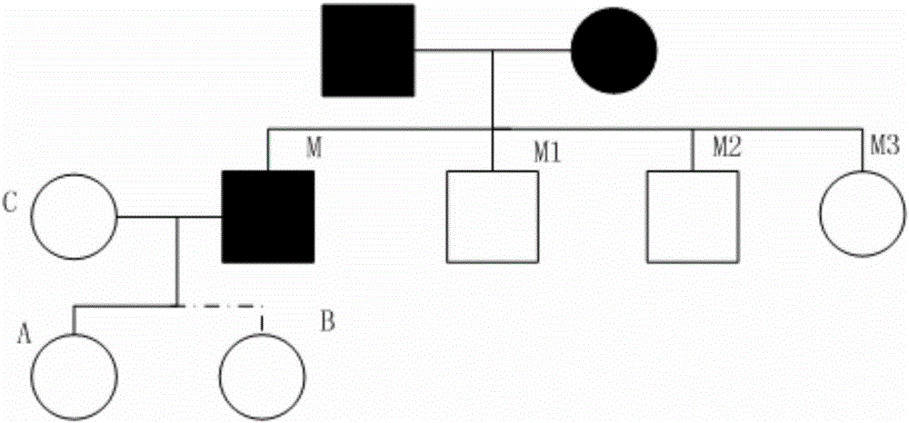 Human x-chromosome dna 19 locus multiplex amplification kit and its application