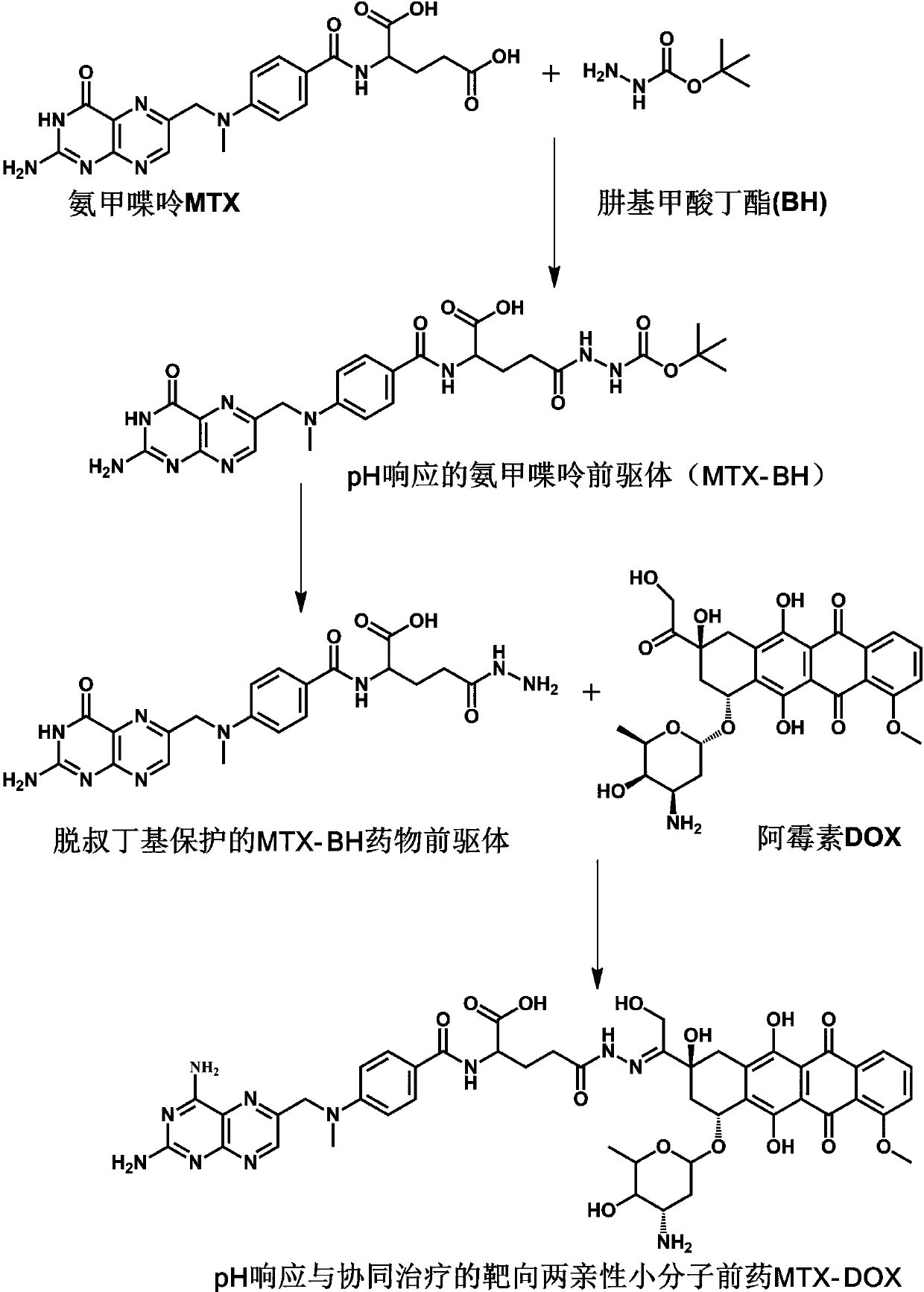 A preparation method of targeted small molecule prodrugs for pH response and synergistic therapy