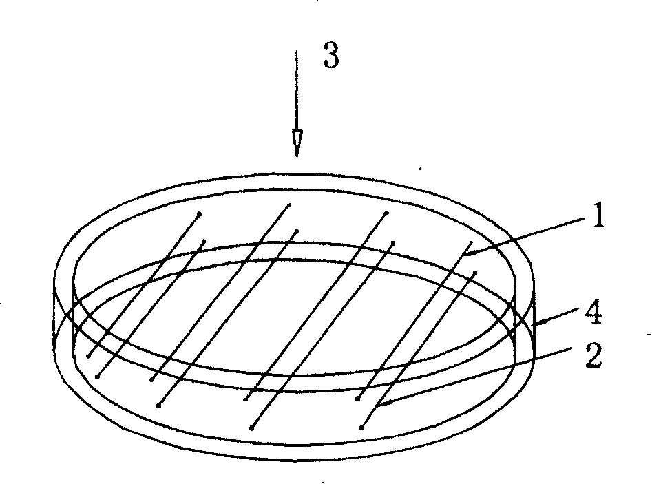 Two-phase fluid grid and capacitor chromatography imaging method