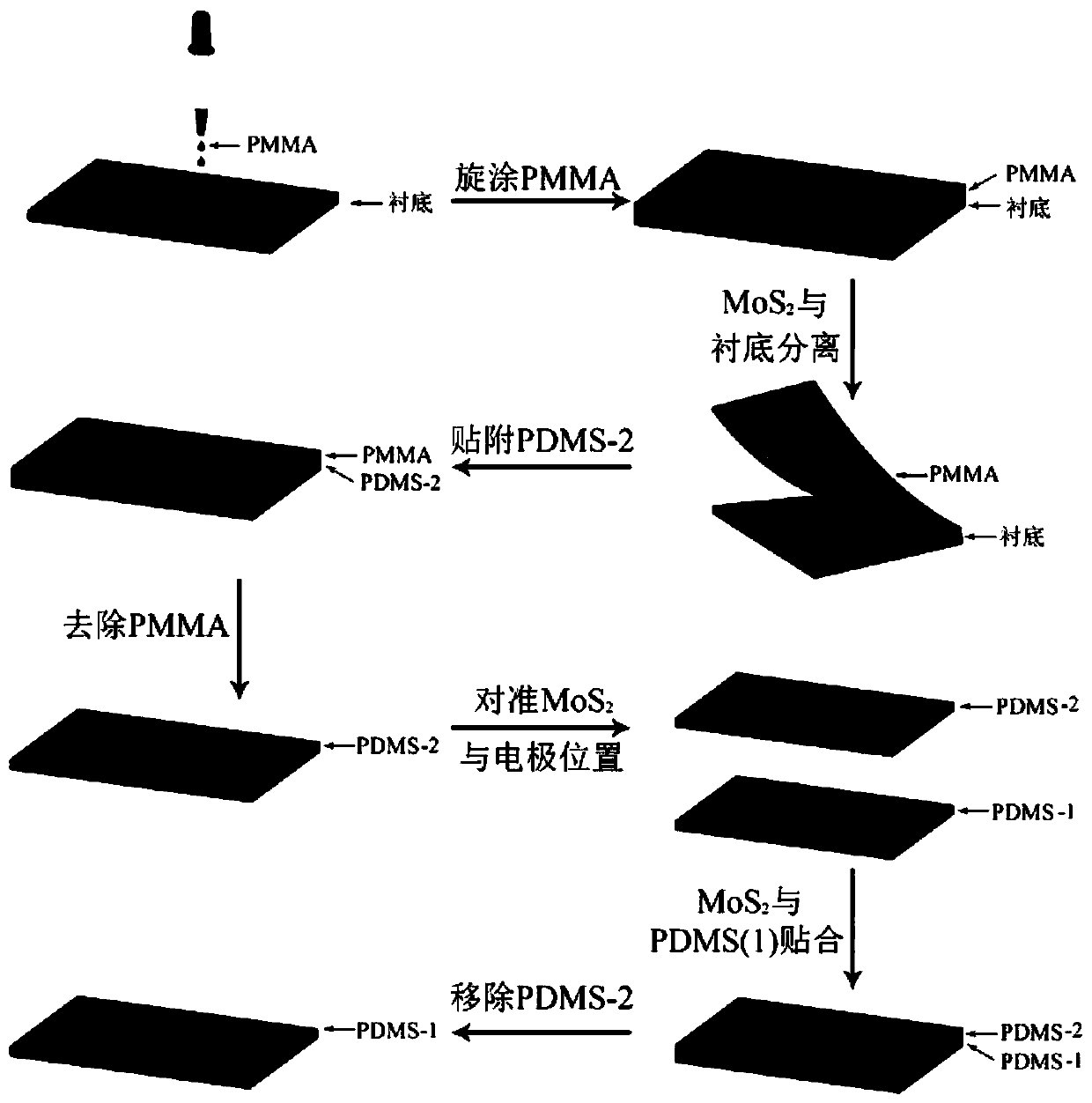 Single-layer transition metal disulfide flexible photodetector preparation method