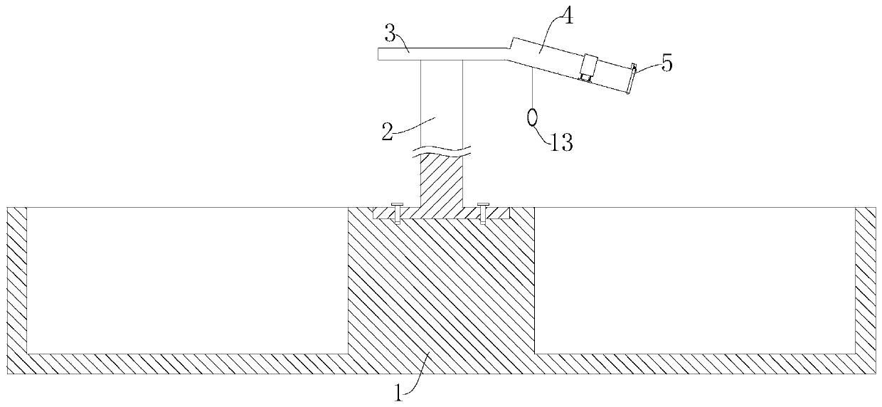 Auxiliary device for loach spawning induction