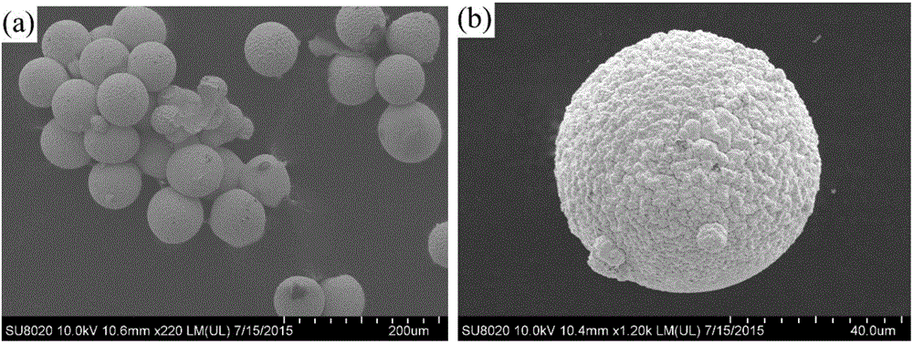 Hydrogel@gold nanocomposite and preparation method and application thereof