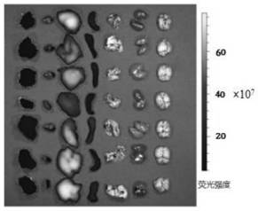 A kind of hydration icariin nanoparticle and its preparation method and application