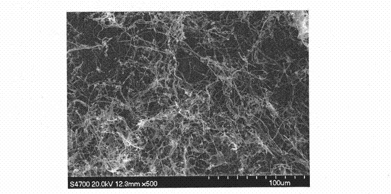 Natural polymer-based nano-fibrous membrane prepared by freeze-drying method
