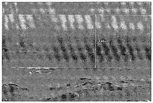 Composition for forming optical film, optical film and polarizing plate comprising same