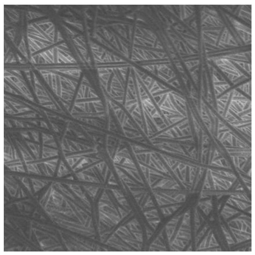 A kind of carbon nanotube/nanofiber conductive composite film and preparation method thereof