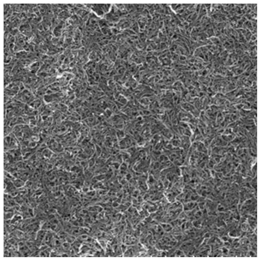 A kind of carbon nanotube/nanofiber conductive composite film and preparation method thereof