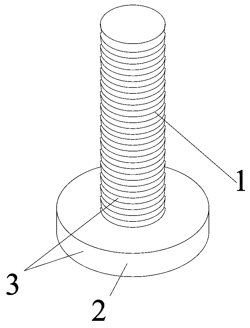 Screw capable of performing leveling for structural test
