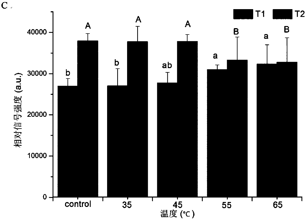 Low-temperature sea cucumber heating and tenderizing method