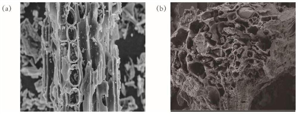 Magnetic biochar soil remediation agent for heavy metal pollution of soil, and preparation method and application thereof