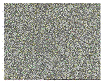 Preparation method for refined magnesium alloy solidification tissue