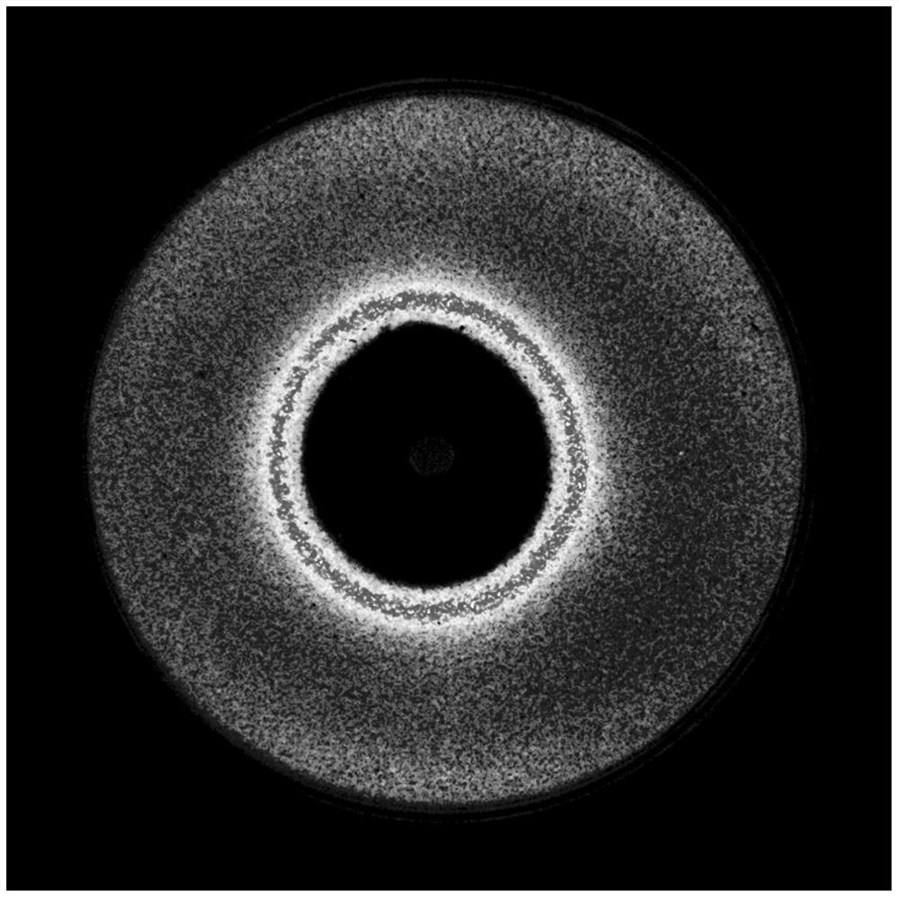 A method for determining the mechanism of action of antibiotics using a bioluminescent reporter system