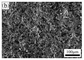 Chromium-free Zn-Al coating and a chromium-free Zn-Al coating layer