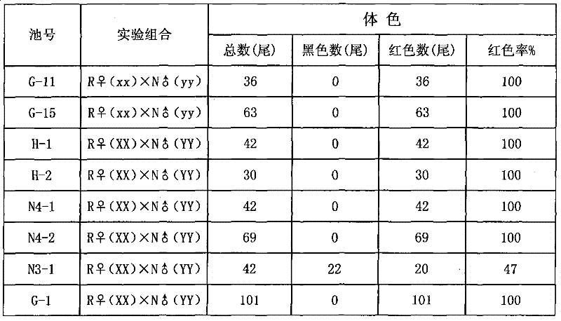 Method for producing fish seeds of genetic male red tilapia hybrids