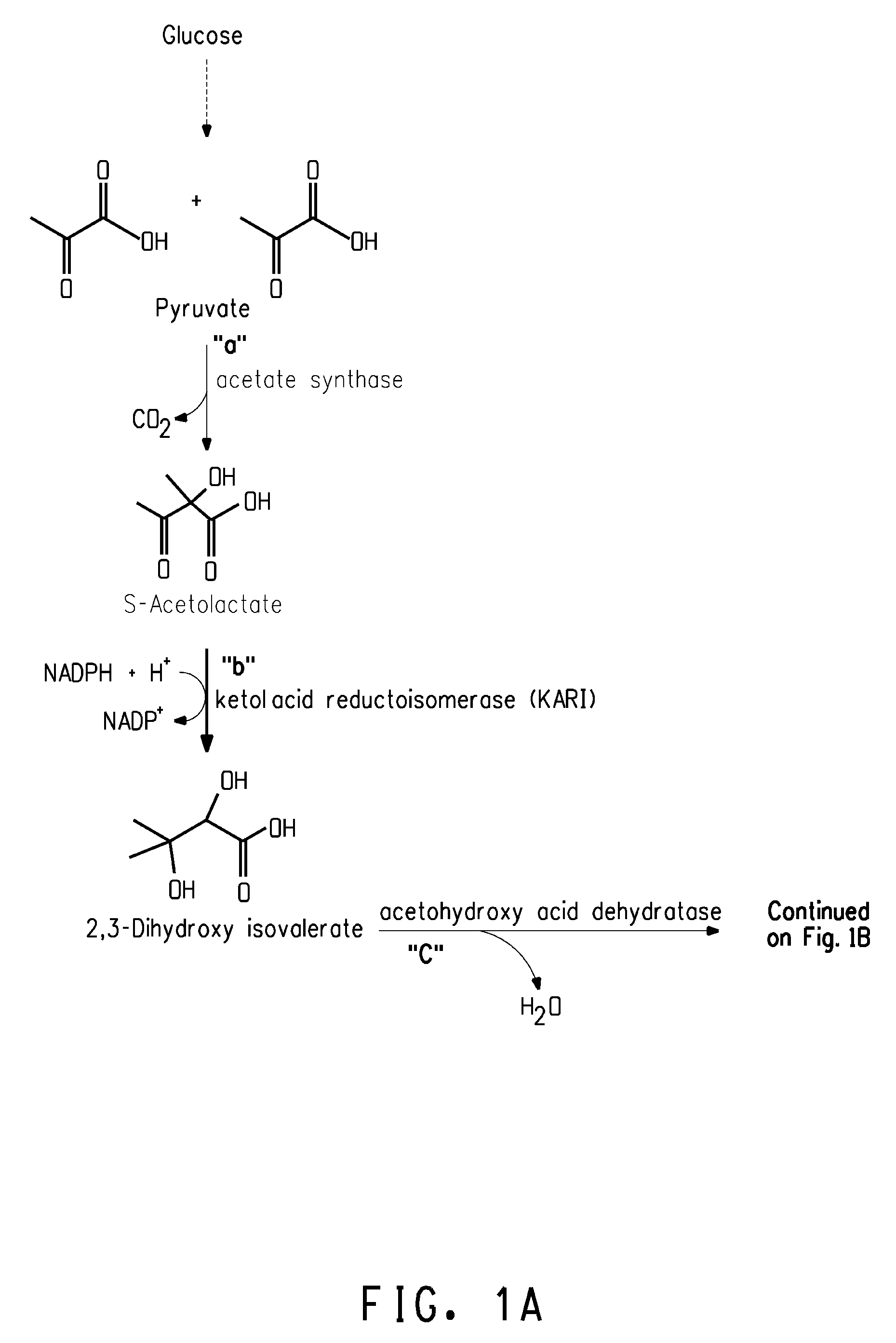 Fermentive production of isobutanol using highly active ketol-acid reductoisomerase enzymes