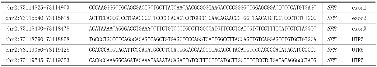 Reagent kit and special capture probe set thereof for detecting pathogenic genes related with phenylketonuria