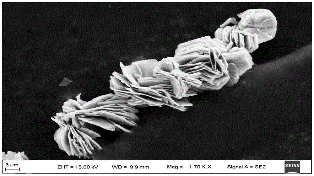 Synthesis method of copper-rare earth nano petal-shaped metal oxide