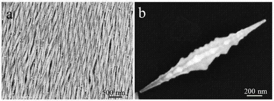 A kind of bicone structure gold nanoparticle and preparation method thereof