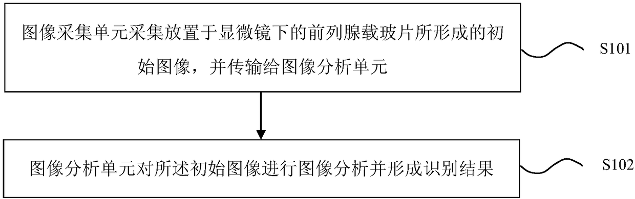 Method and device for automatically analyzing prostatic fluid