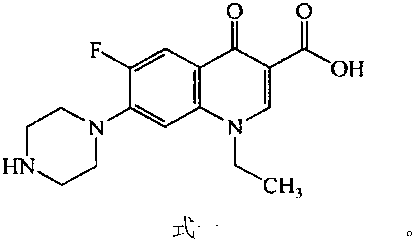 Oral norfloxacin capsule and preparation method thereof