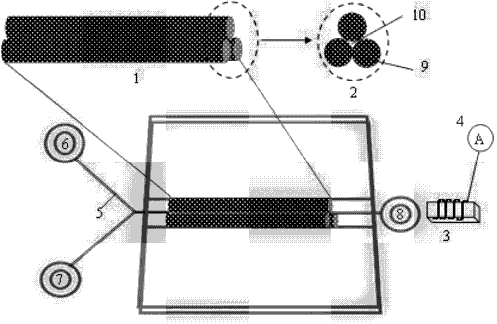 Magnetic field assisting microfluidic carbon nanofiber SEC (size-exclusion chromatography) separation method,