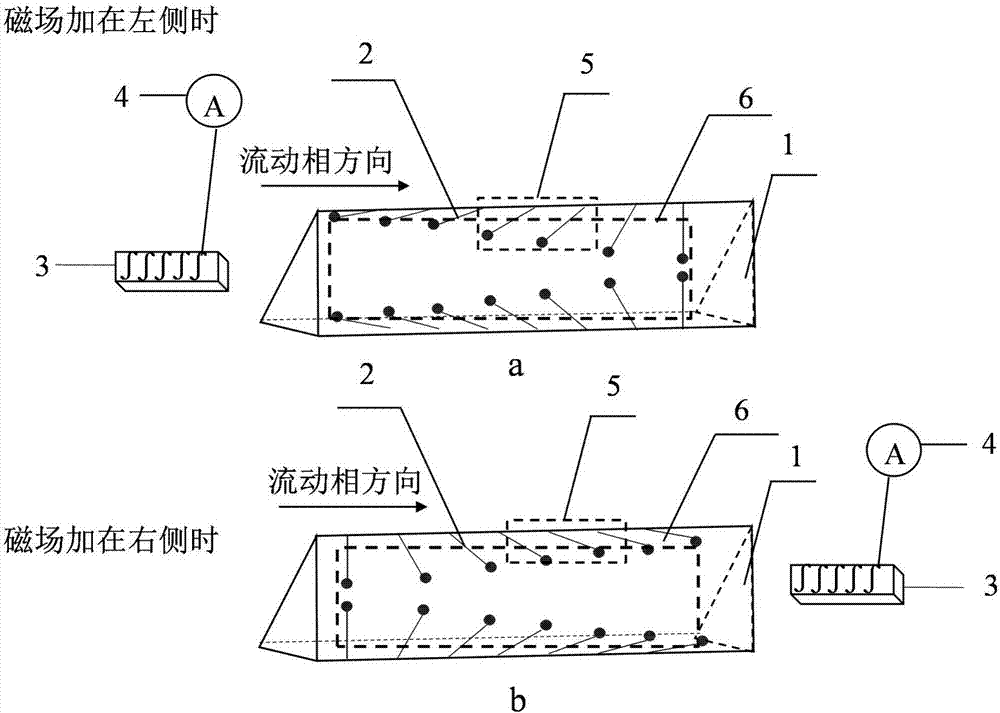 Magnetic field assisting microfluidic carbon nanofiber SEC (size-exclusion chromatography) separation method,