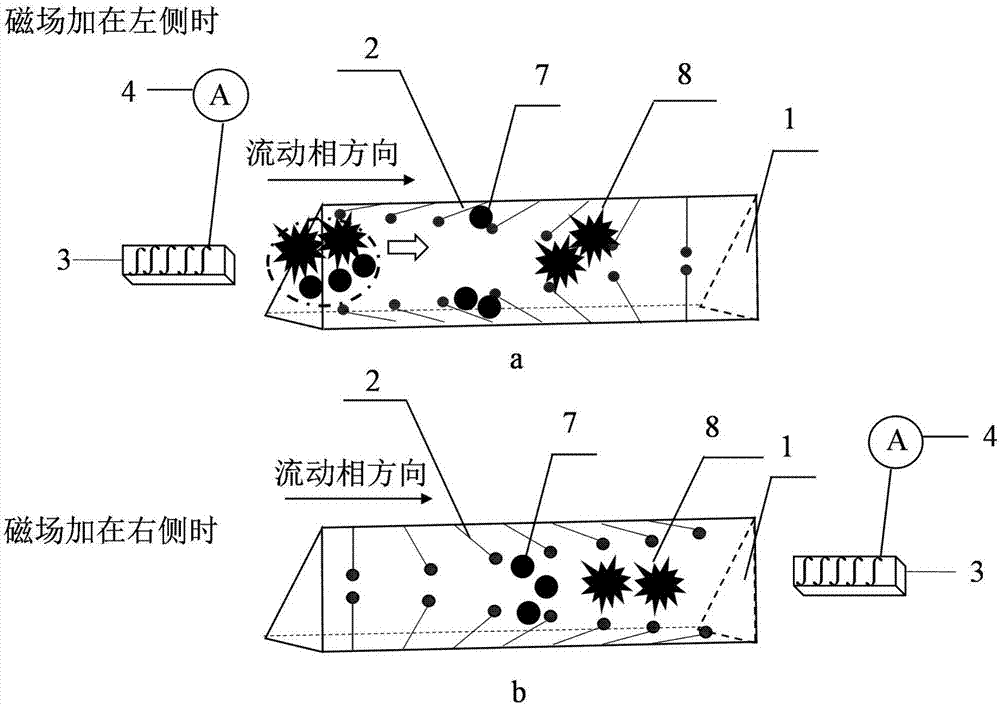 Magnetic field assisting microfluidic carbon nanofiber SEC (size-exclusion chromatography) separation method,