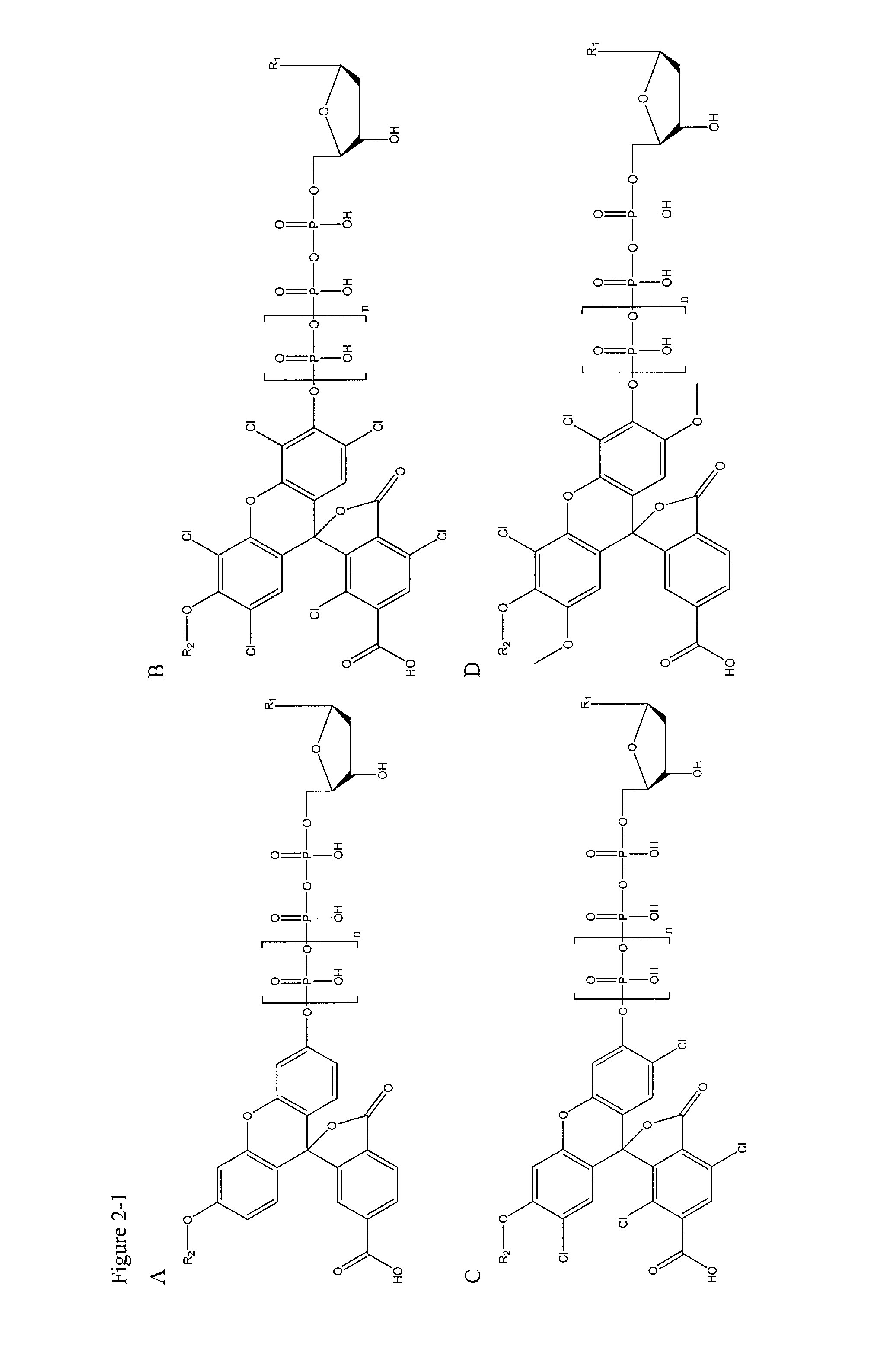 Methods and compositions for continuous single-molecule nucleic acid sequencing by synthesis with fluorogenic nucleotides