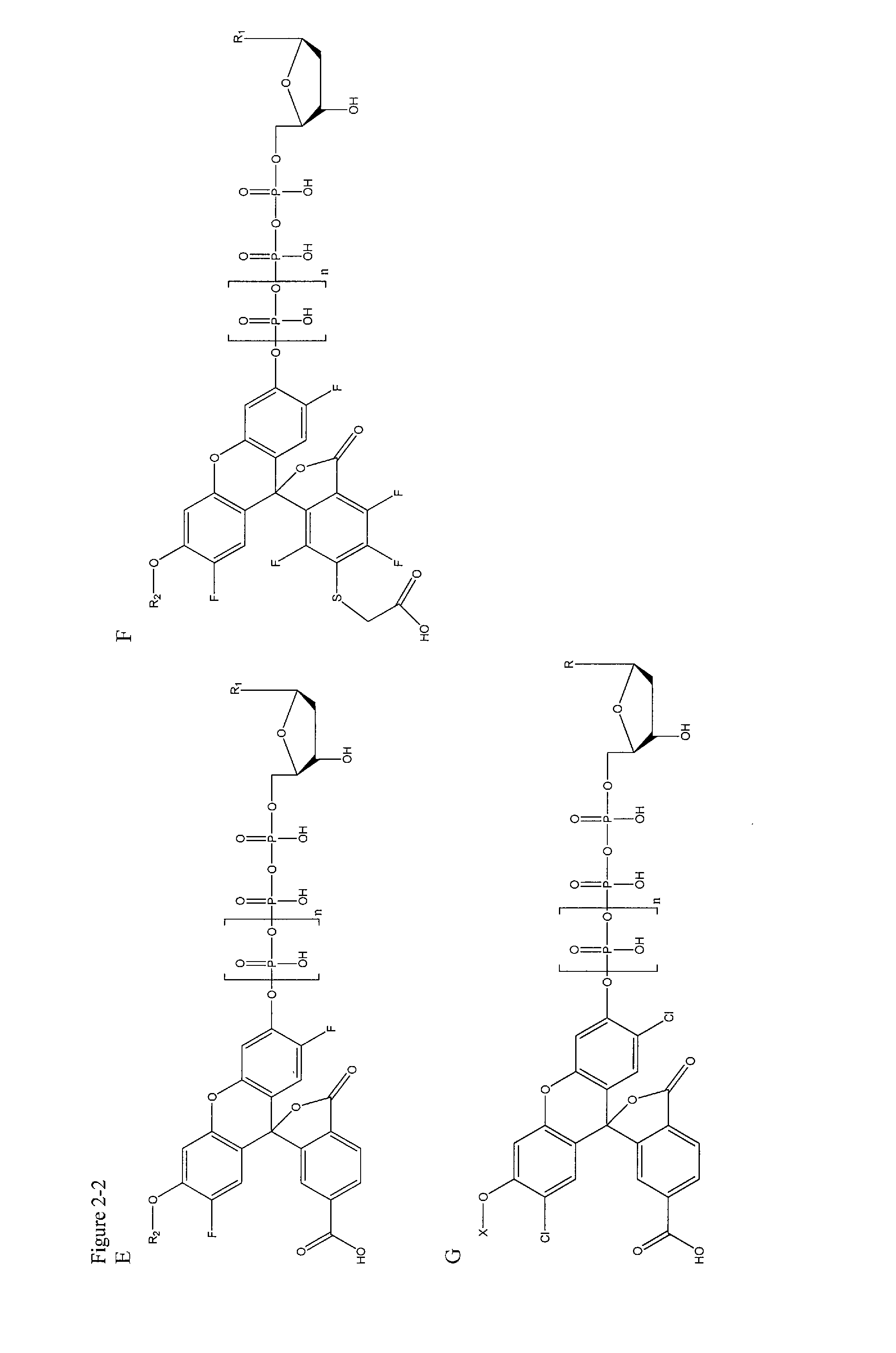 Methods and compositions for continuous single-molecule nucleic acid sequencing by synthesis with fluorogenic nucleotides