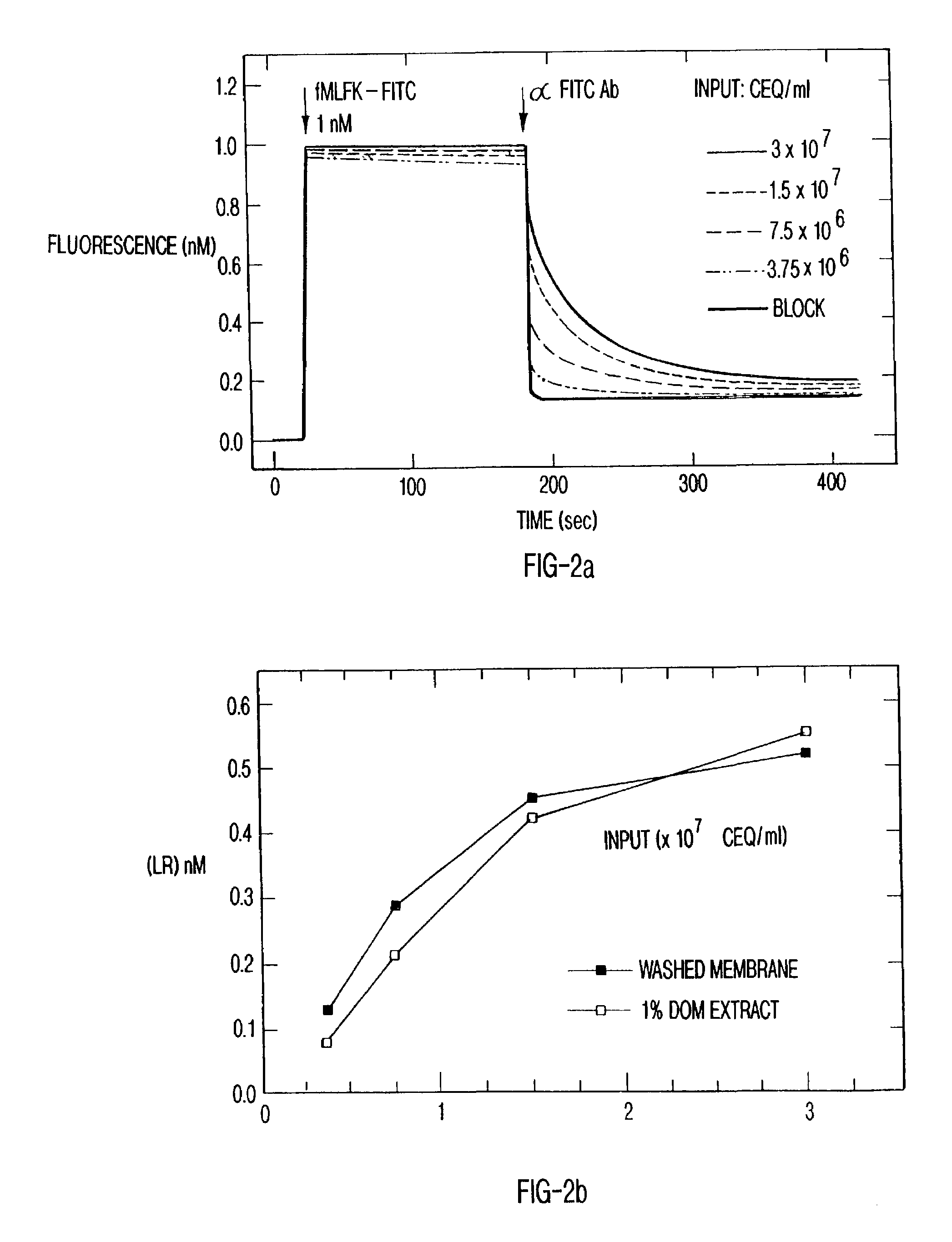 Display of receptors and analysis of binding interactions and drug libraries